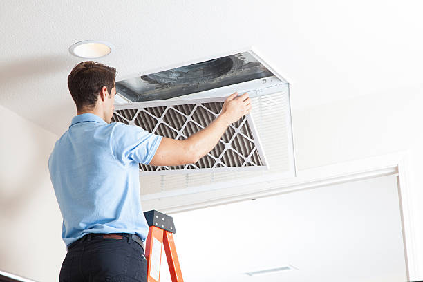 Best Air Filters and Purifiers in Melbourne, AR